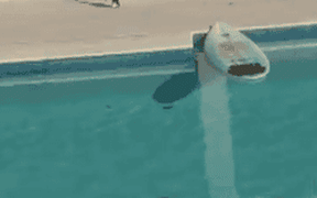 A cat escapes a dog by surfing across a pool