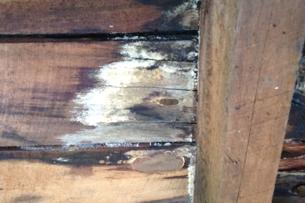 Mould revealed in the roof of Melissa's rental house when a ceiling collapsed