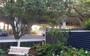 Auckland Harbour Bridge as seen from the Holloways' backyard.