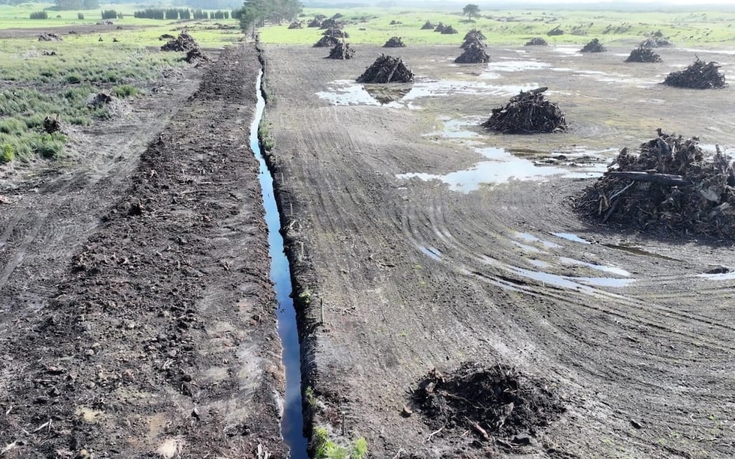 New Zealand Watermelon Distributors Limited's Paul Martin Harvey was ordered by the Environment Court to stop developments on the protected Kaimaumau-Motutangi Wetland, and to undertake remediation work.