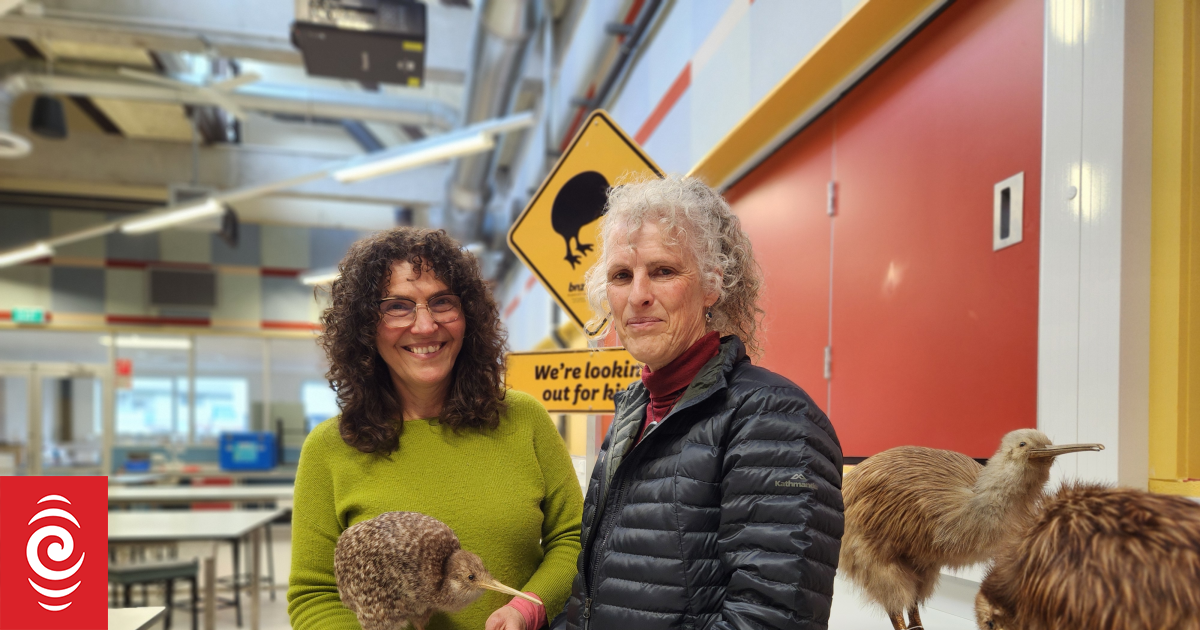 Country Life: Harnessing the power of kiwi in horticulture
