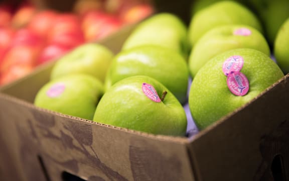 Fresh produce at T&G (Turners & Growers) in Mt Wellington, Auckland