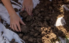 Students testing the soil quality at Criffel Station