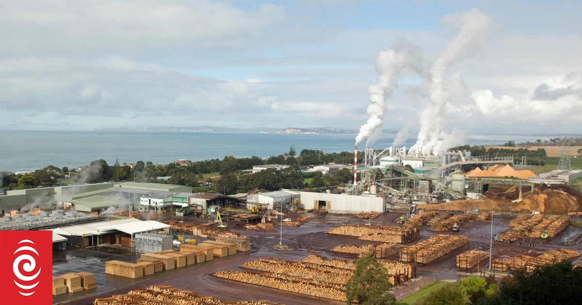 Rosnąca presja na przedsiębiorstwa energetyczne, aby działały w obliczu narastających problemów energetycznych