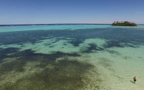 Dark patches of algae spreading in Muri lagoon.
