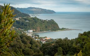 Eastbourne, Lower Hutt, at the south east edge of Wellington Harbour.