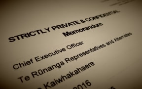 The leaked documents allege nepotism and corruption are creeping into the way the iwi conducted itself.