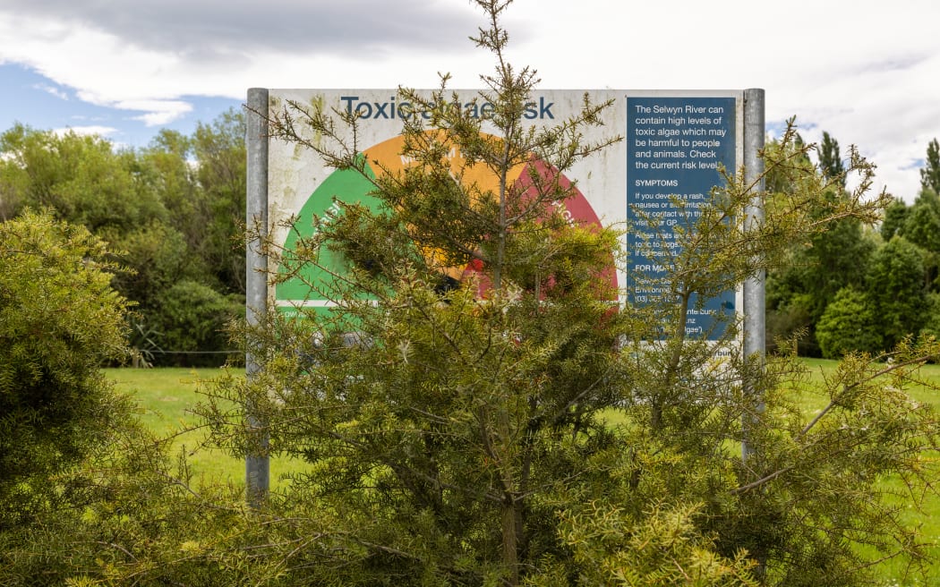 Toxic algae risk sign at the Selwyn River