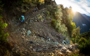 Wairoa Gorge mountain bike trail