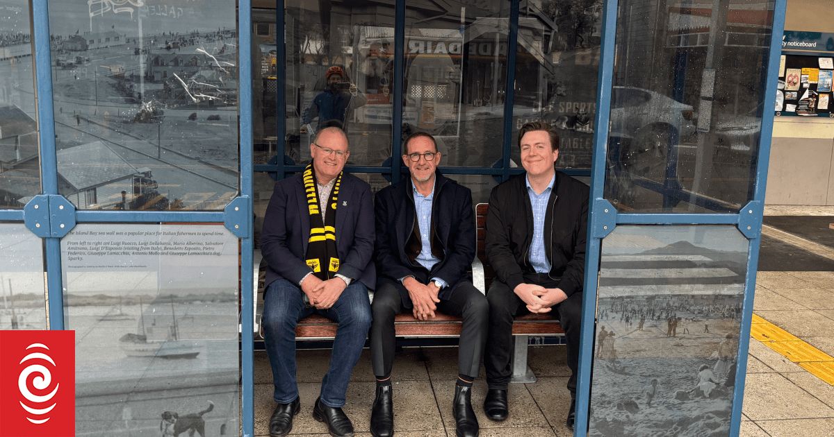 New fare-capping scheme proposed for Wellington