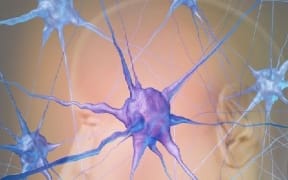 Autism could be detected in children long before symptoms start to show.