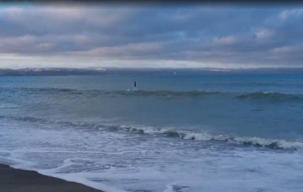 The Hardinge Road Beach in the suburb of Ahuriri early in Jan 2022.