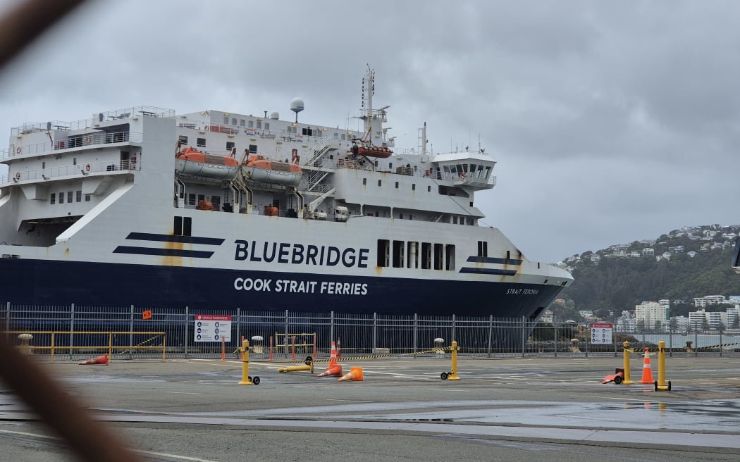 Bluebridge docked in Wellington.