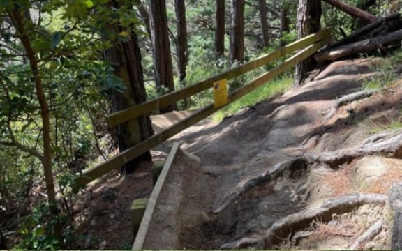 Wellington City Council park rangers are installing motion-activated cameras in the Town Belt on Matairangi/Mt Victoria after a spate of vandalism that appears to target mountain bikers.