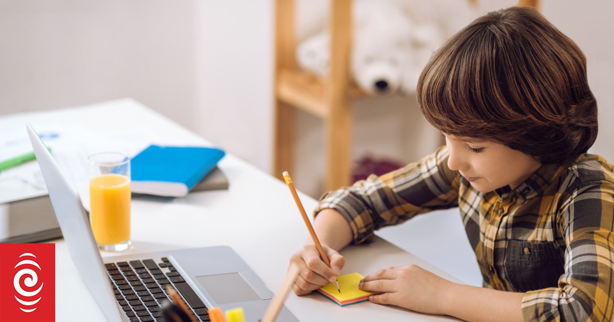 A Broken System Report Says Education System Failing Rnz