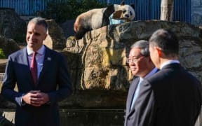 Wang Wang the panda (top) chews a box as South Australian Premier Peter Malinauskas and China's Premier Li Qiang listen to a zoo ranger at the Adelaide Zoo in Adelaide on June 16, 2024. (Photo by Asanka Ratnayake / POOL / AFP)
