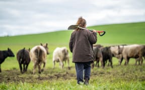 female farmer testing soil on a farm