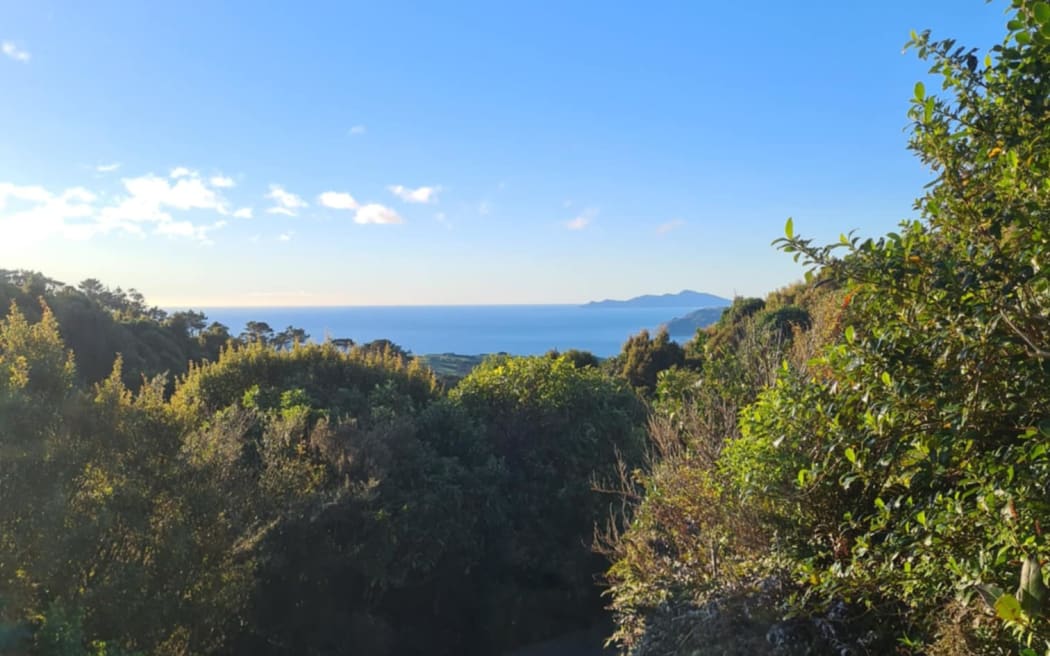 Rangituhi Hill.
