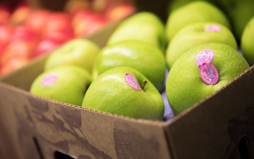 Fresh produce at T&G (Turners & Growers) in Mt Wellington, Auckland