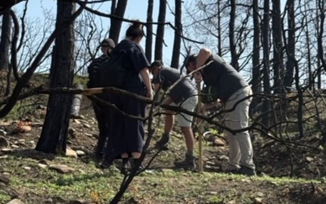 Members of the New Zealand team behind the Anzac Day commemorations in Gallipoli covered remains unearthed by wildfires and rain.