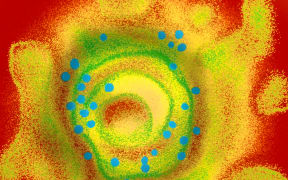 A chickenpox vaccine for every child in the country will be considered by Pharmac.