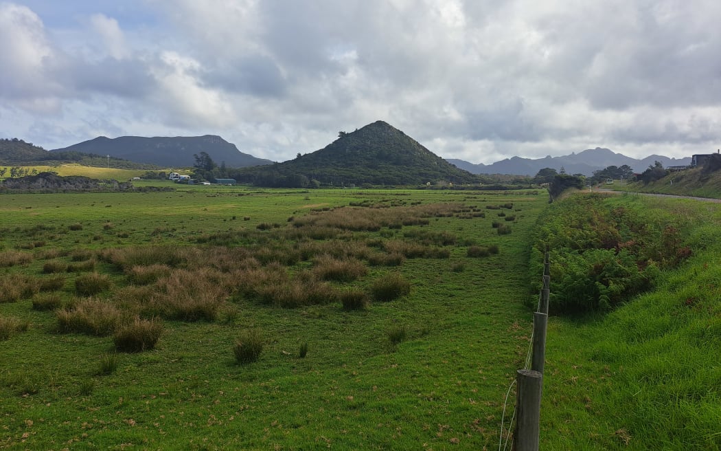 Great Barrier Island.