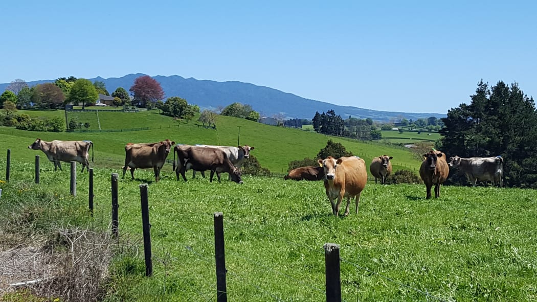 Another beautiful day on the farm
