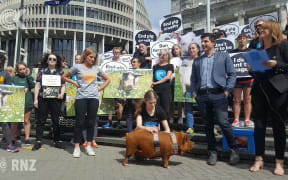 110,000 sign petition to ban pig farrowing crates: RNZ Checkpoint