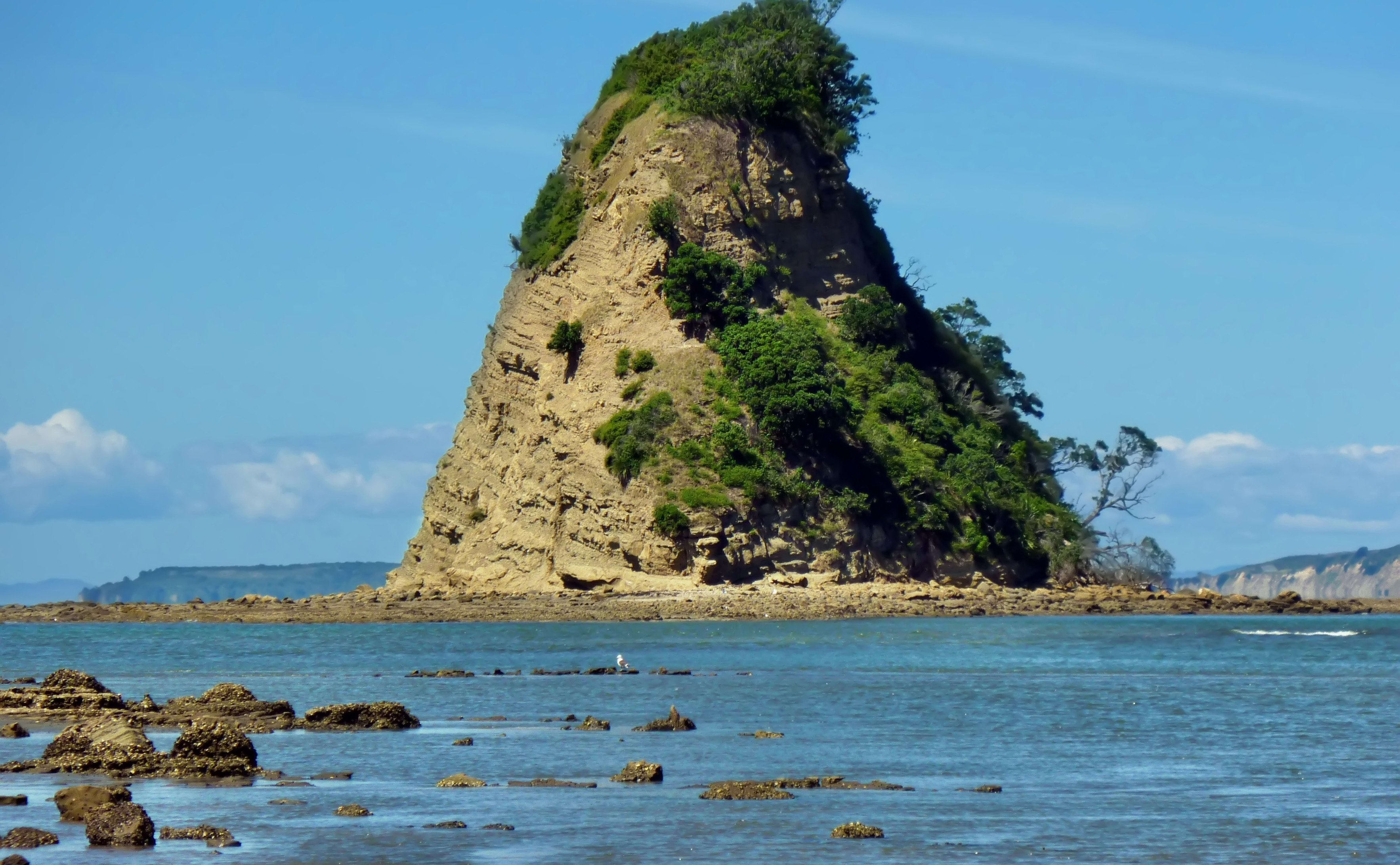 Rock in the sea at Wenderholm Regional Park near Auckland.