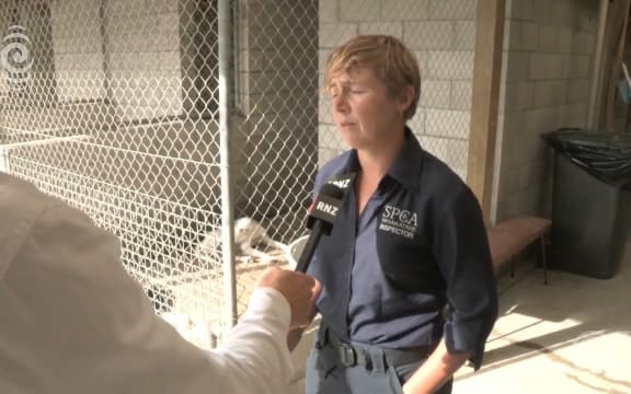 Edgecumbe pets rescued after being abandoned as owners fled