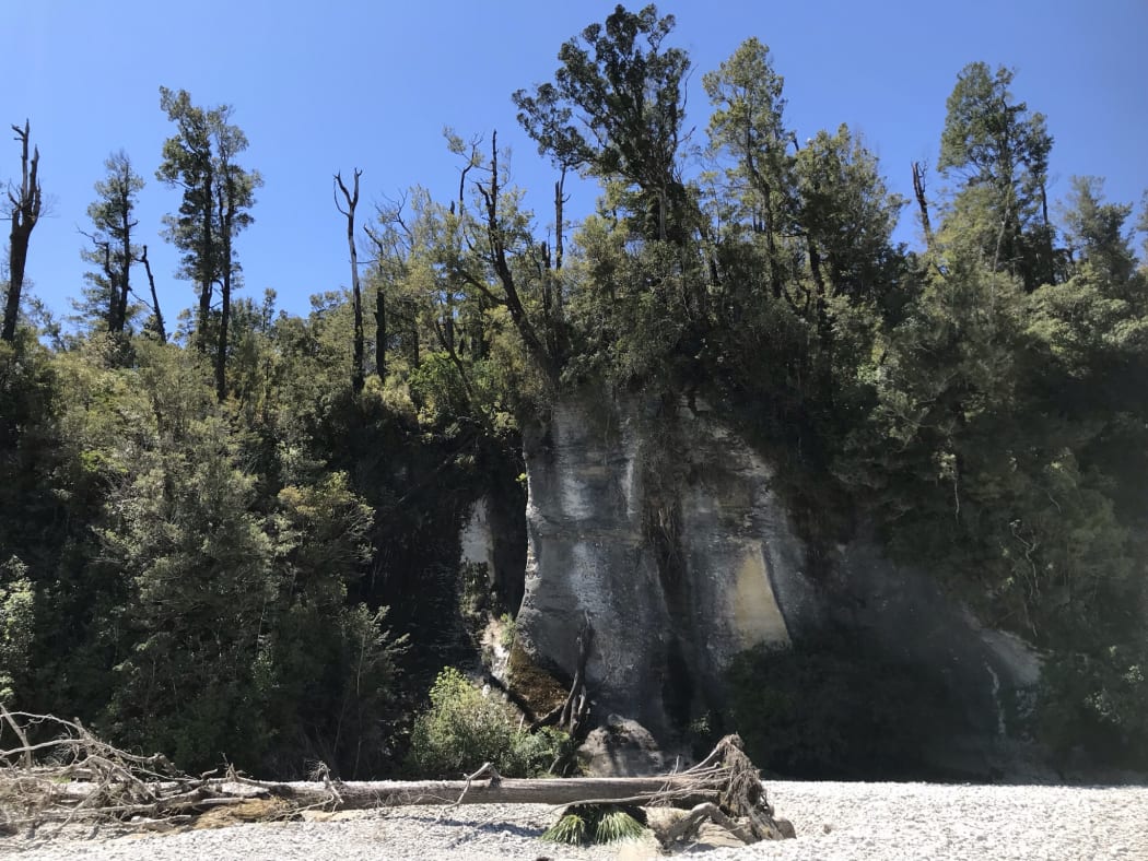 The limestone in the Bullock Creek area results in unusual hydrology. Can see a large bush covered limestone cliff with gravel at the bottom.