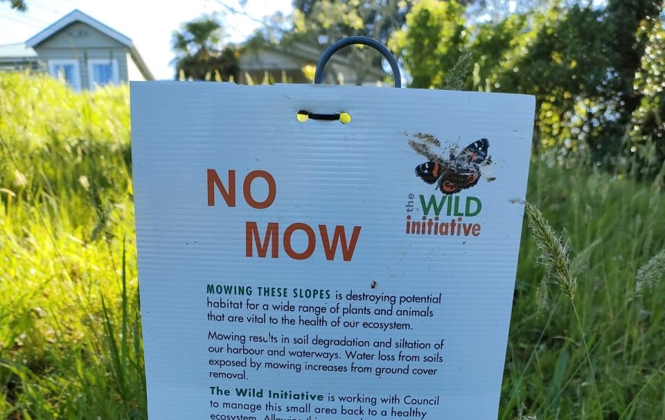 The Wild Initiative's No Mow sign at Grey Lynn Park, Auckland