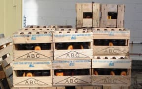 Beer crate, Crate Day,