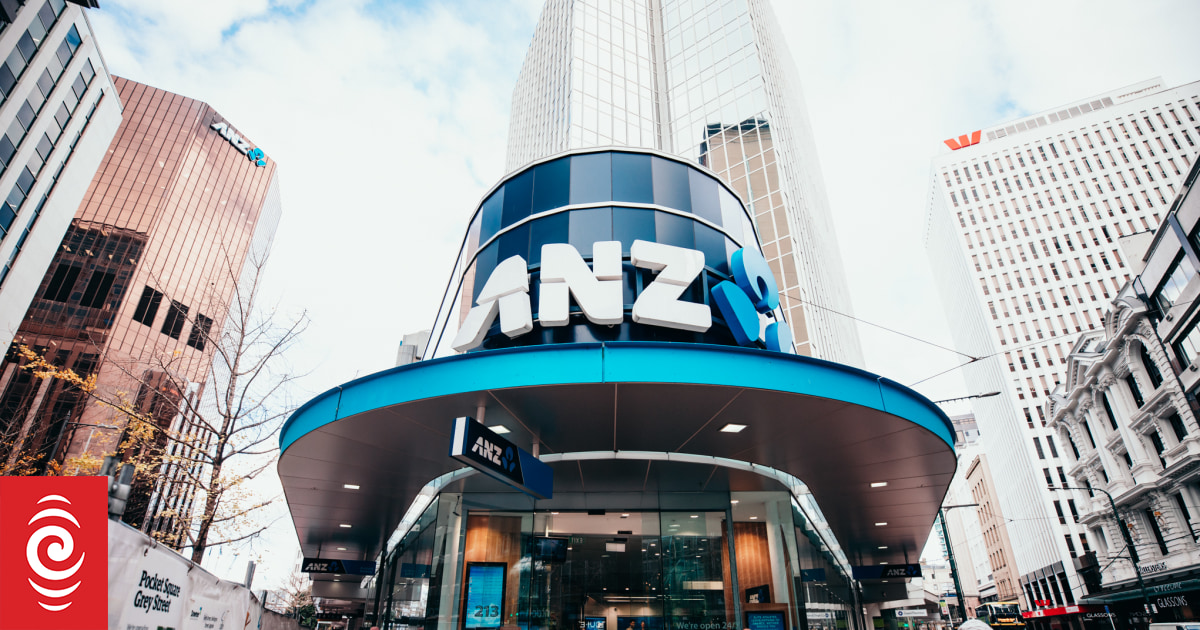 ANZ expects interest rate cuts from February 2025 RNZ News