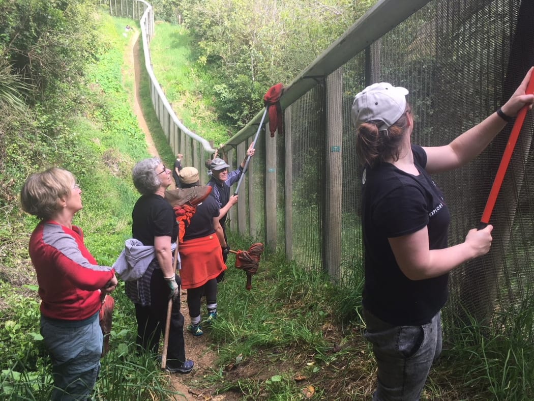Zealandia volunteers in action