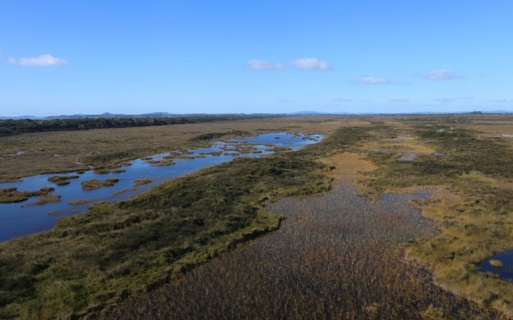 DOC said the Kaimaumau-Motutangi wetland complex 