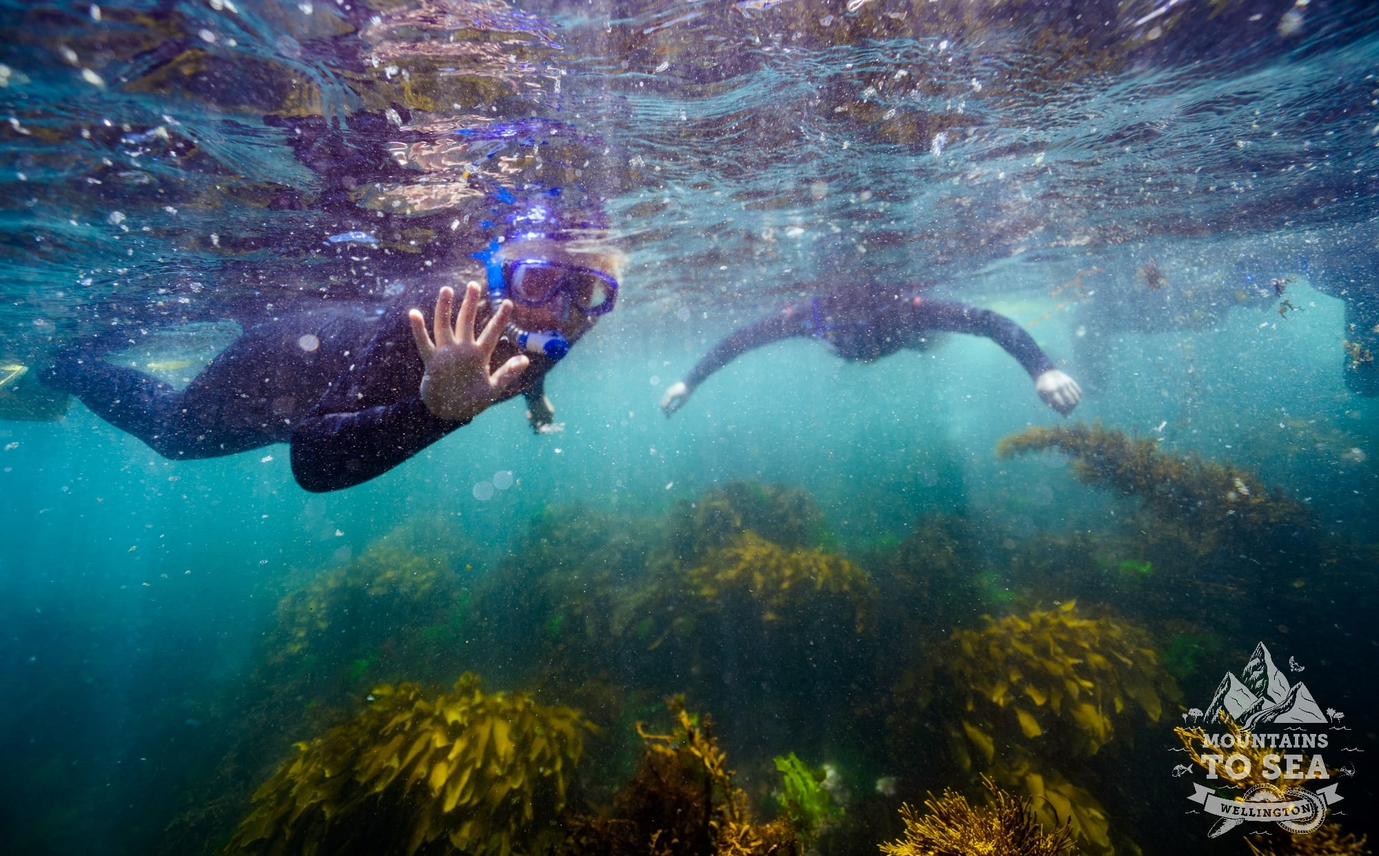 Snorkeler at the community day at Taputeranga Marine Reserve. Underwater shot, the person is waving at the camera.