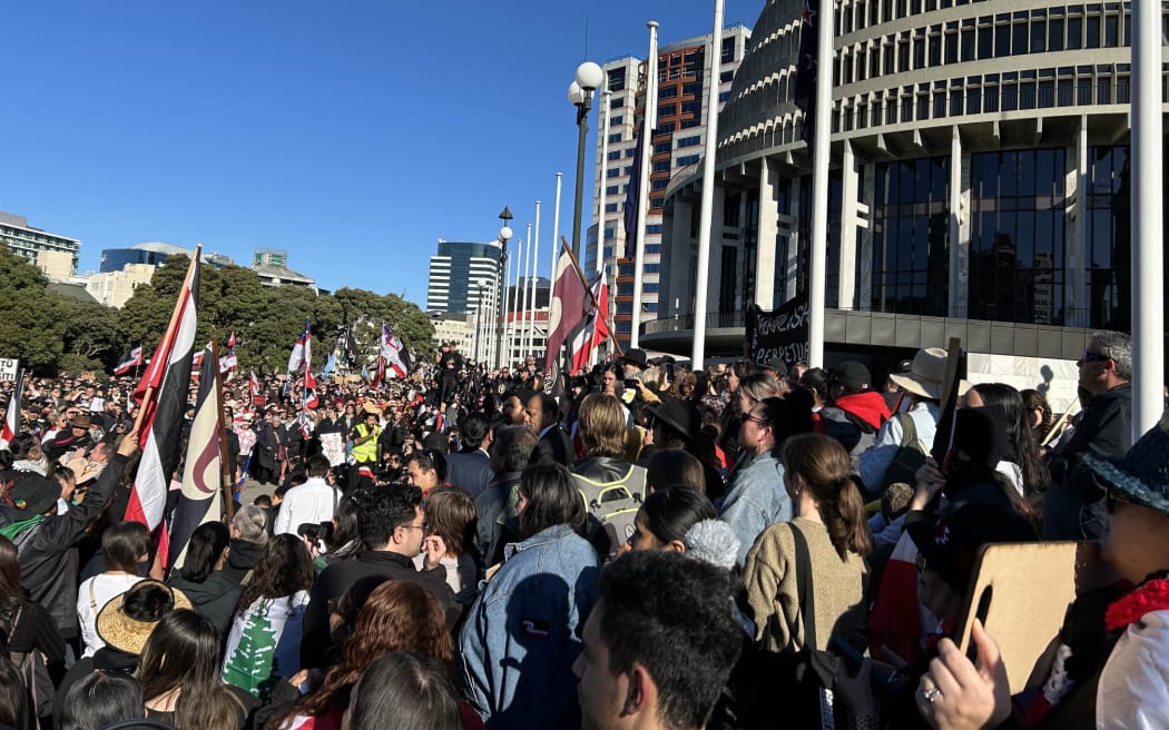 Protest at Parliament on 30 May 2024.
Protesters oppose government policies toward Māori.