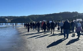People protesting plans to demolish Petone Wharf walk along Petone Beach 28 April 2024.