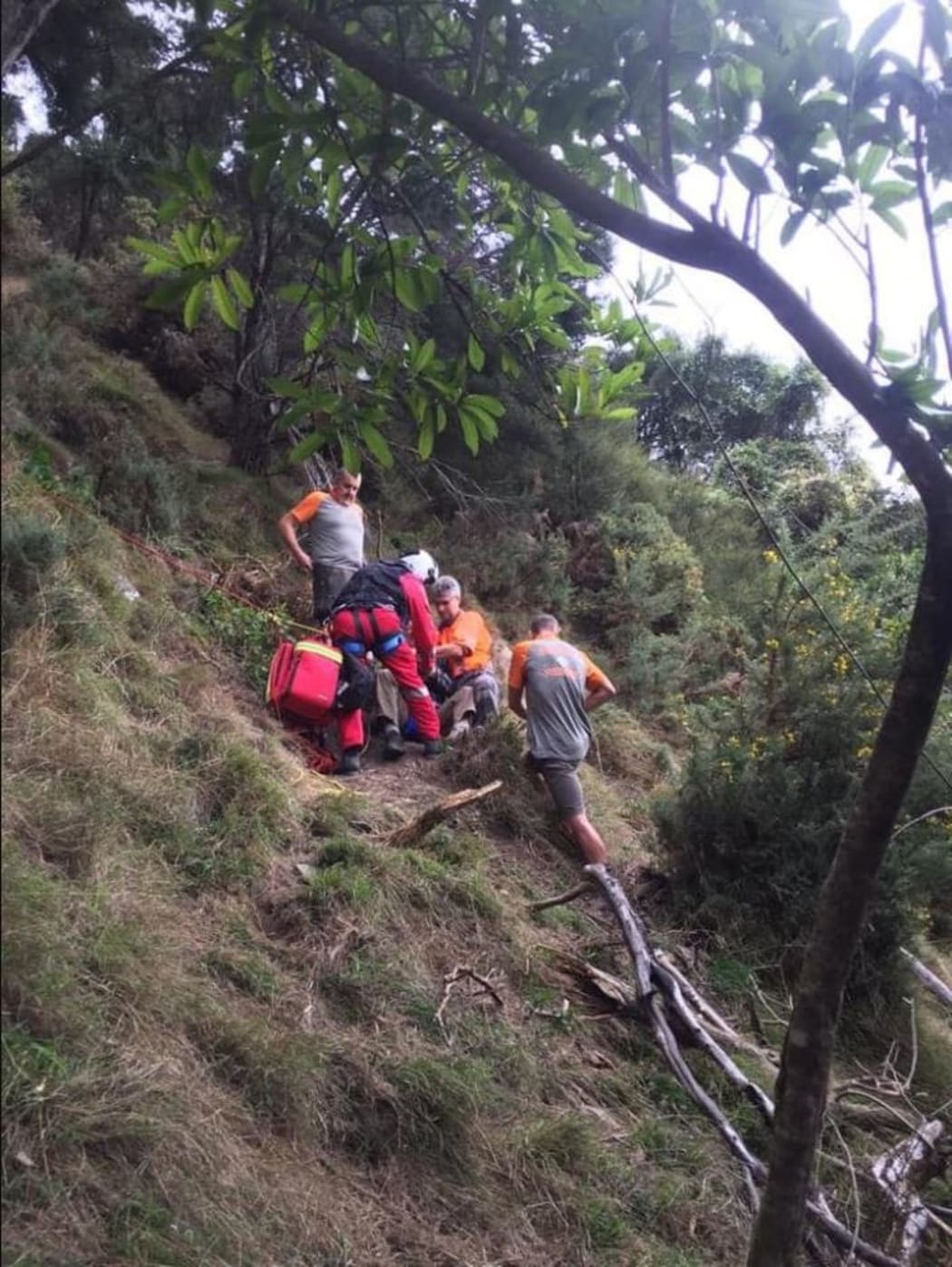 A 76-year-old falling down steep terrain in Waikawa, Picton.