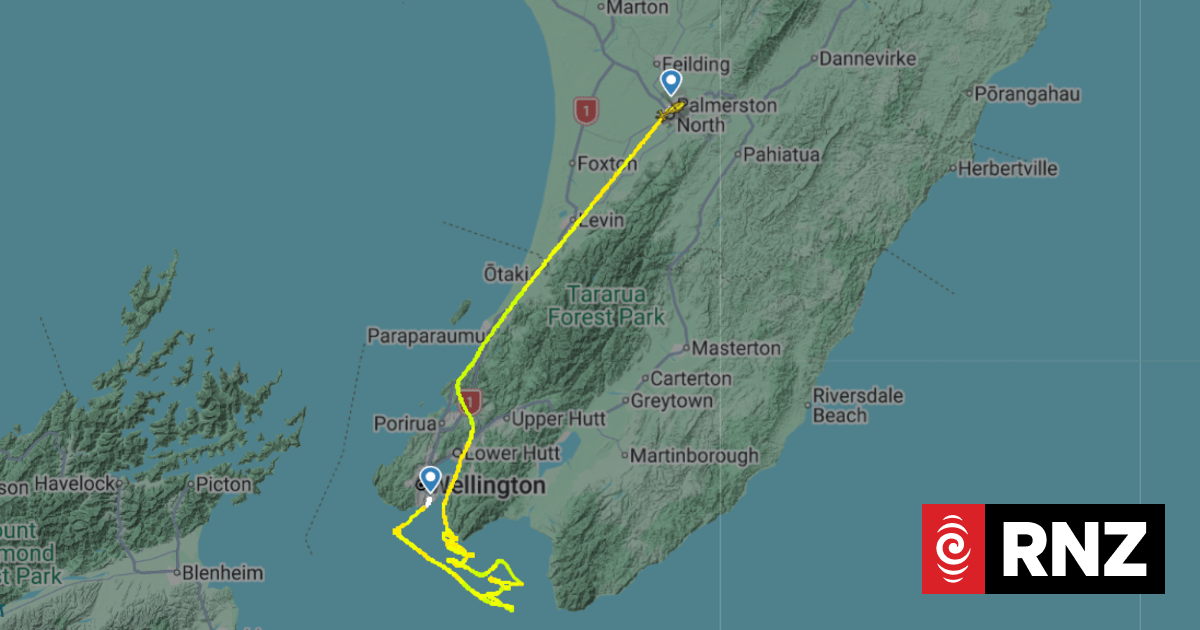 Rescue operation underway for yachtie near Baring Head, Wellington