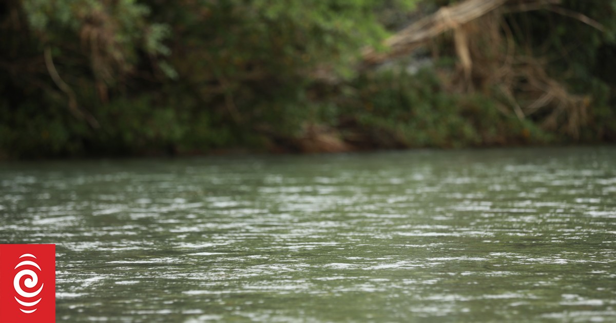 'Unacceptable in any form': Whakatāne puppy drowning video streamed to social media