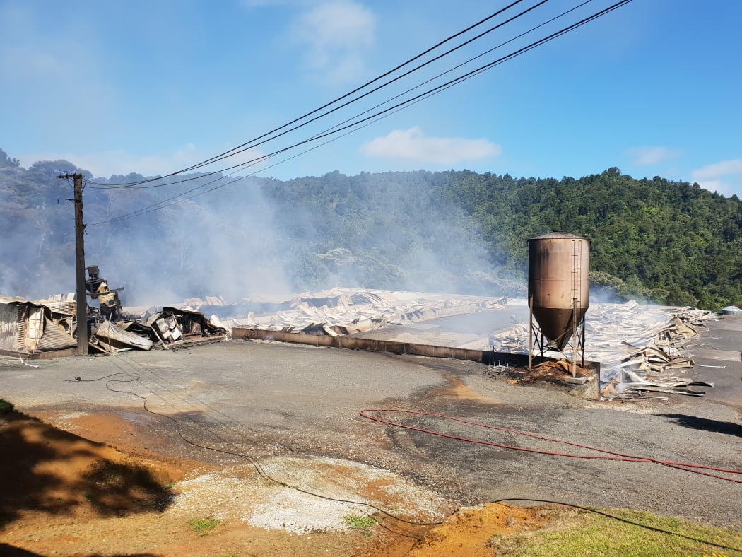 50,000 chickens died in the fire.