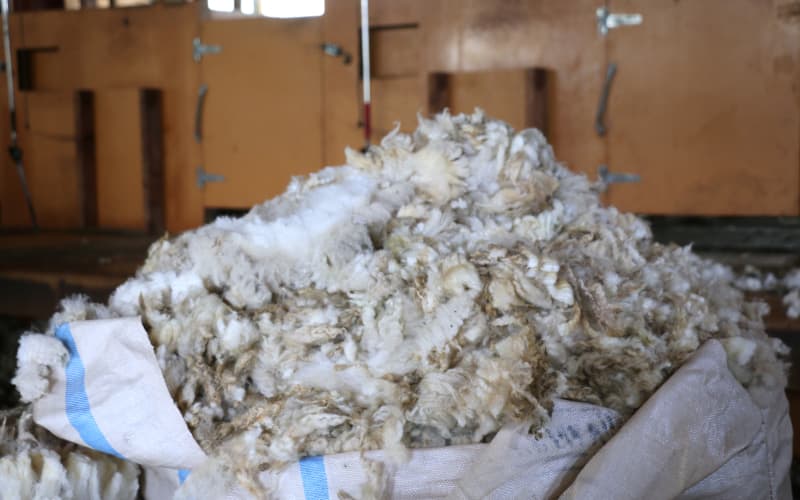 New finding reveals untapped potential in fibre industry | RNZ
