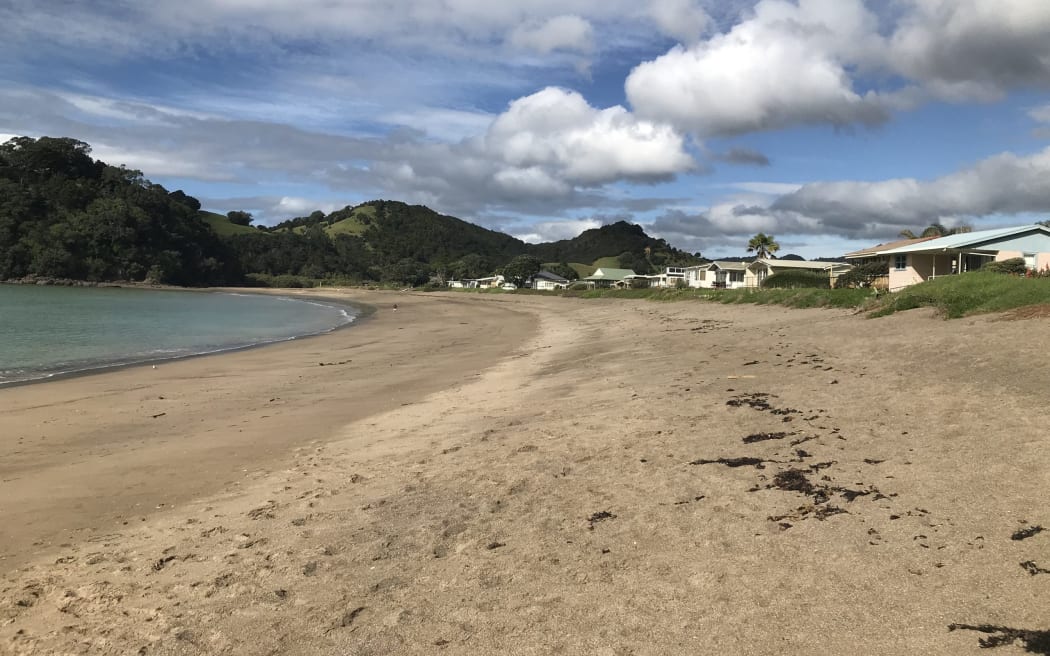 Teal Bay, one of the coastal communities in the new Oakura coastal catchment climate adaptation pilot.