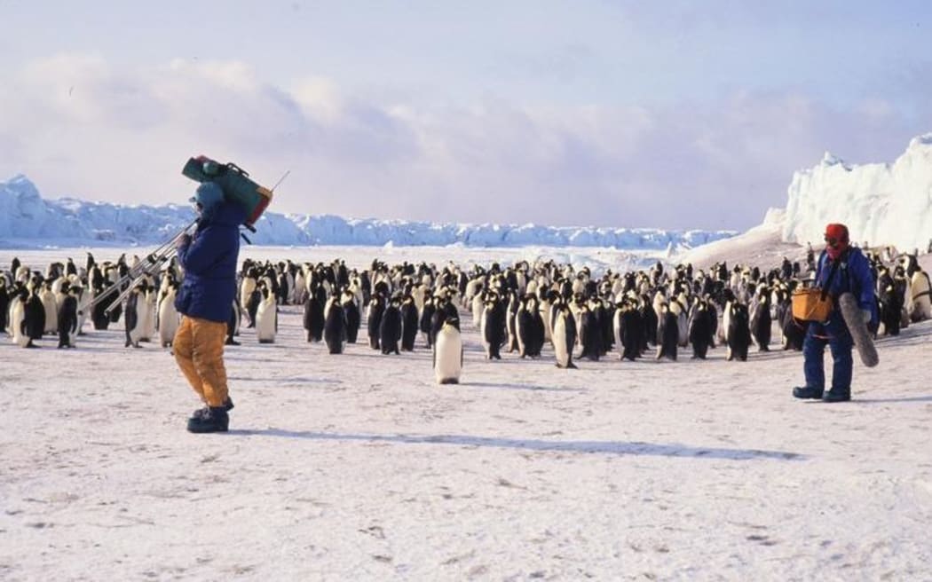 Max Quinn and soundman Don Anderson passing in front of the Cape Crozier Emperor Penguin colony.