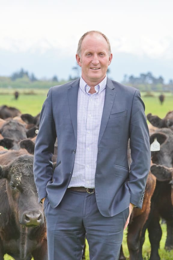 Beef and Lamb New Zealand South Island farmer director Andrew Morrison