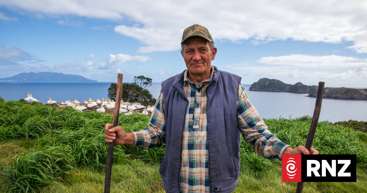 Life on a remote island: Meet the whānau who call Māhuki home
