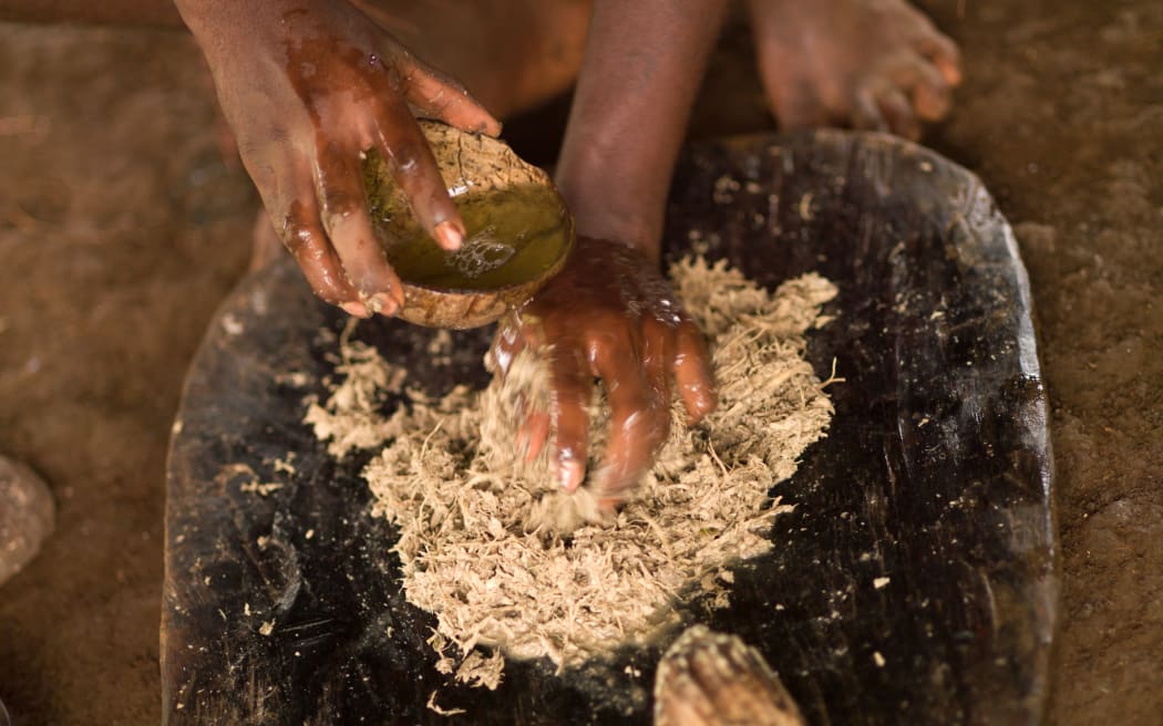 A woman preparing and squeezing kava to drink at a traditional ceremony in Sanma Province, Espiritu Santo, Vanuatu.