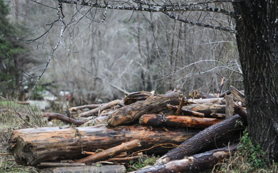 Tolaga Bay, heavy rain forced piles of wood onto farmland.
